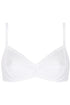 Antigel J14 New Apesanteur 3 Parts Full Cup